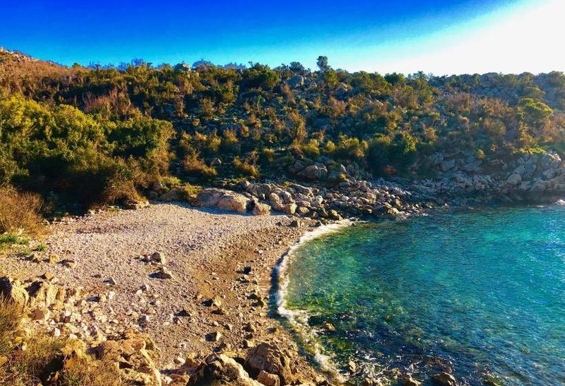 Namaste Hostel & Camping