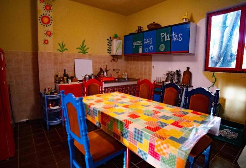 Namaste Hostel & Camping