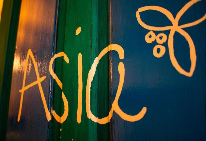 Namaste Hostel & Camping