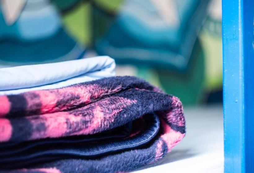 Namaste Hostel & Camping