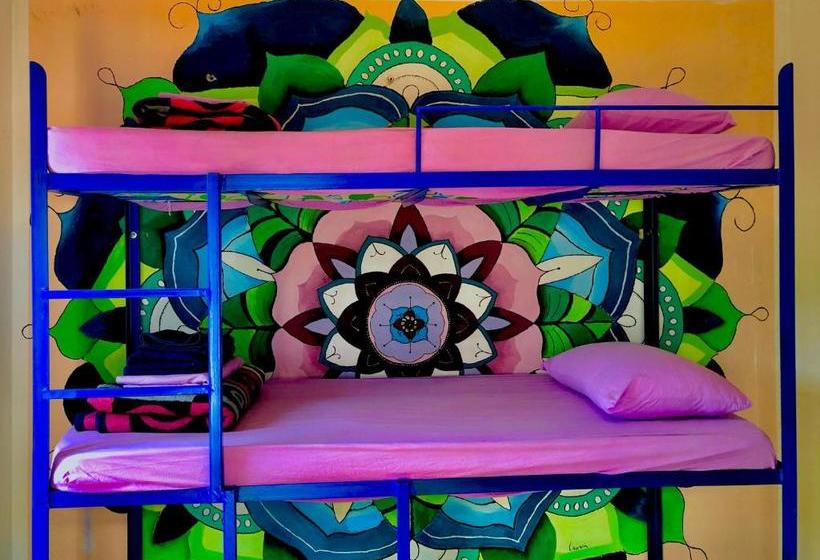 Namaste Hostel & Camping