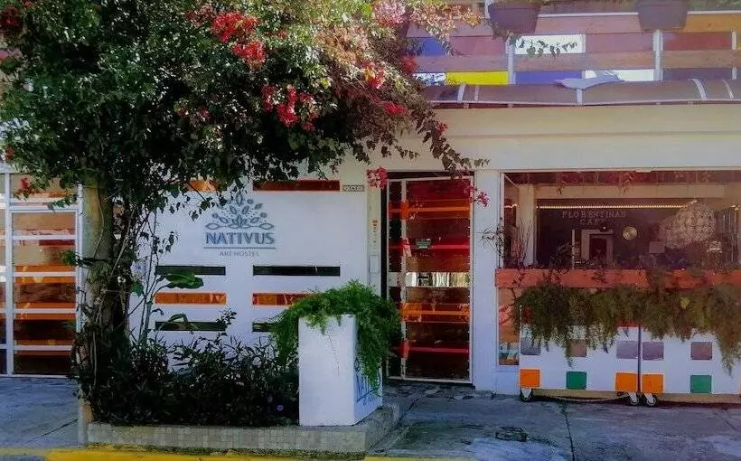 Nativus Art Hostel