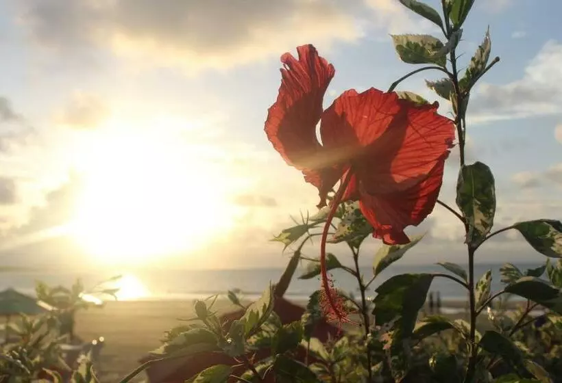 Majatalo Pousada Dona Santinha