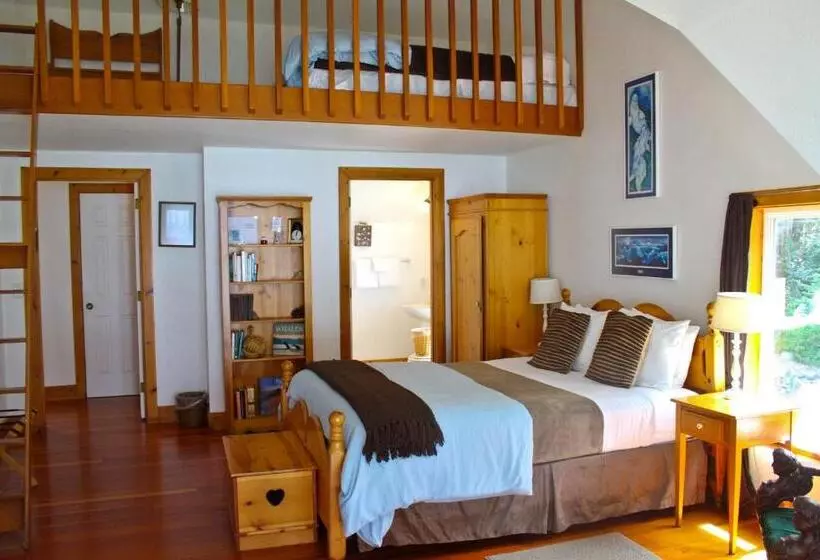 Aamiaismajoitus (B&B) Lost Whale Inn