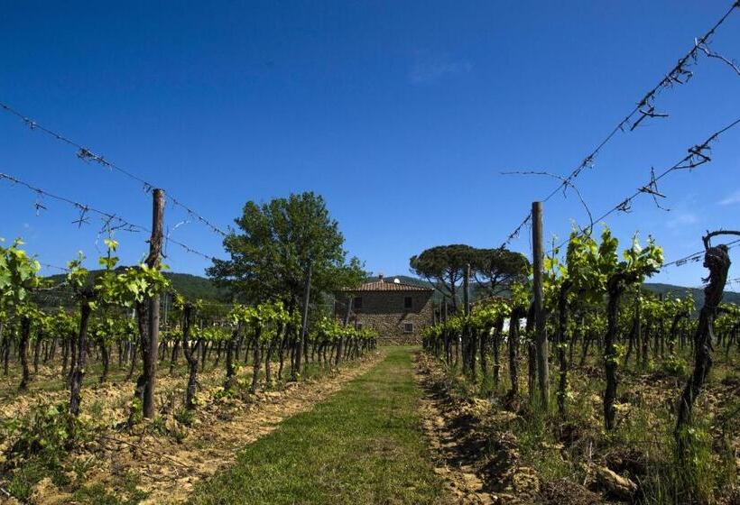 호텔 Agriturismo La Concezione