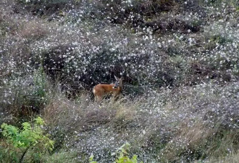 هتل Tenuta I Lecci
