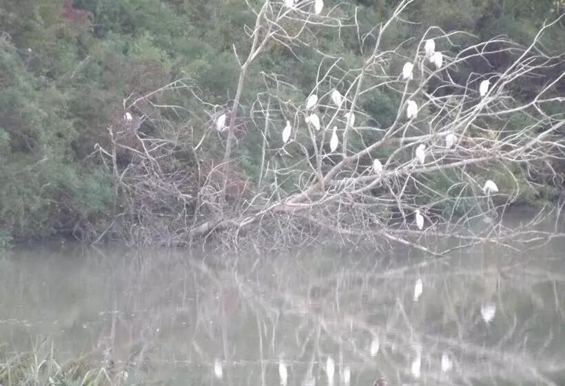 هتل Tenuta I Lecci