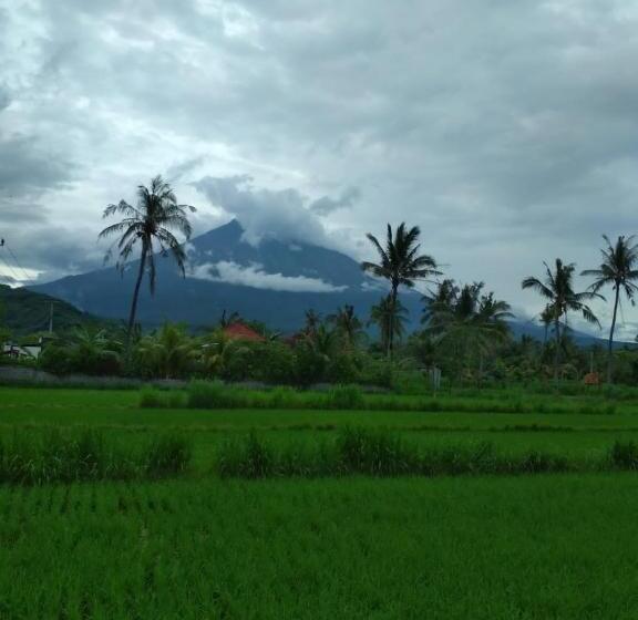 Pensionat Amed Paradise Warung & House Bali