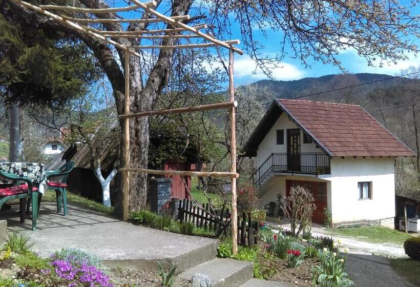 پانسیون Apartman Ana