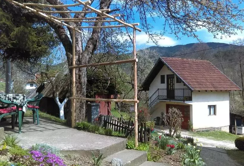 پانسیون Apartman Ana