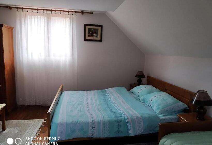 پانسیون Apartman Ana