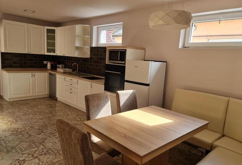 بنسيون Borostyán Vendégház