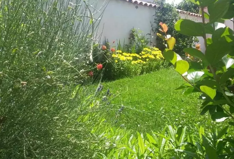 پانسیون Family Hotel May