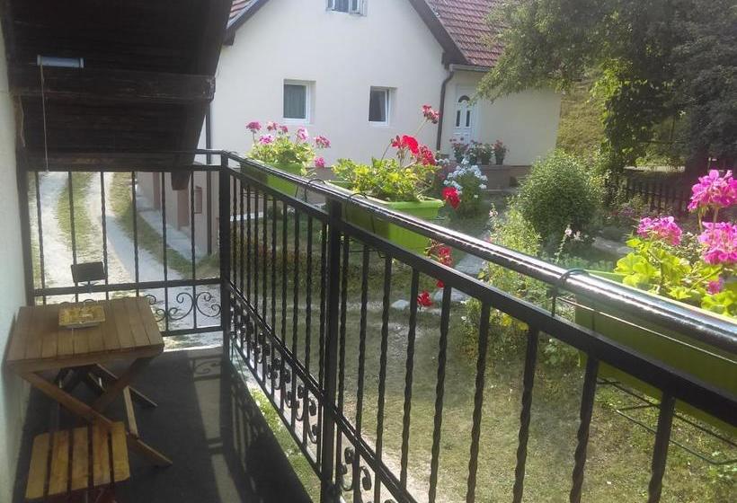 پانسیون Apartman Ana