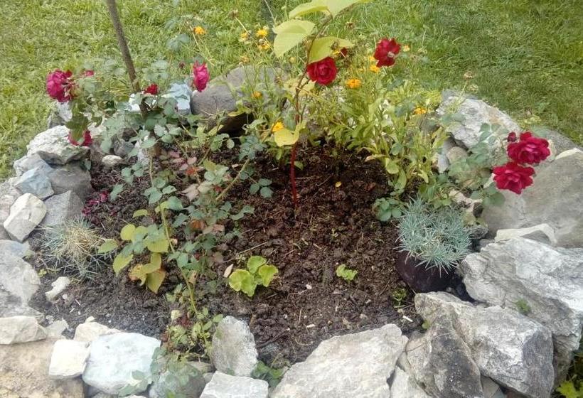 پانسیون Apartman Ana