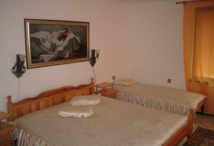 פנסיון Vila Roza