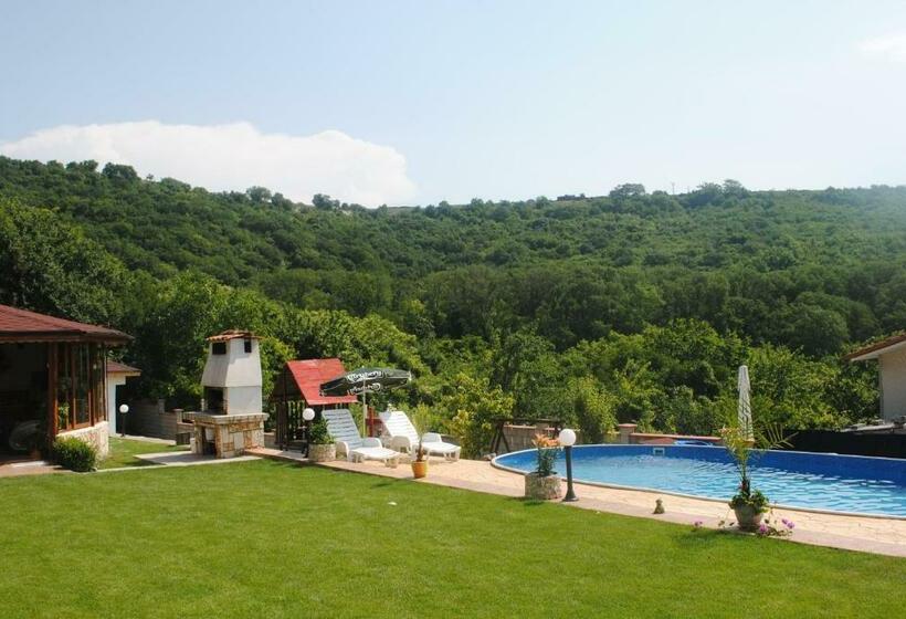 פנסיון Vila Roza