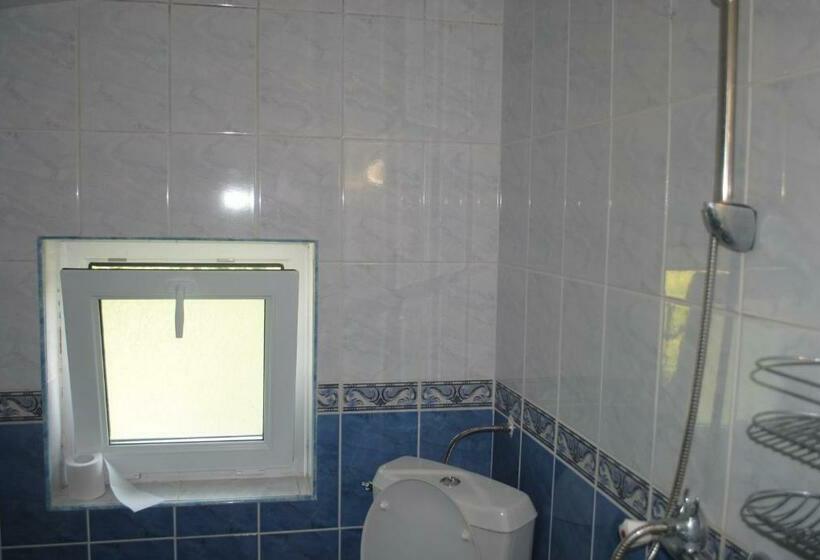 פנסיון Vila Roza