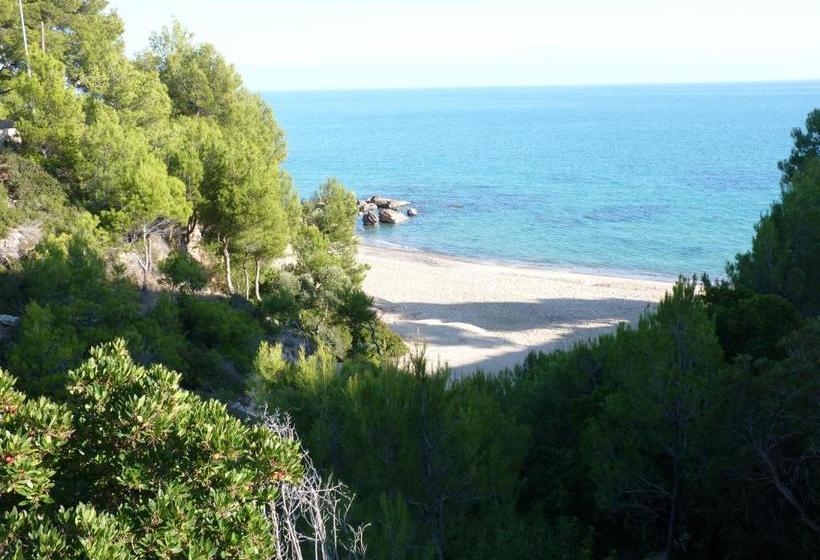 Rentalmar Gavina D'Or