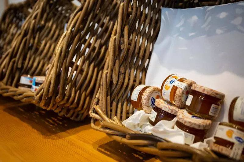 Basic Hotel Sevilla Catedral