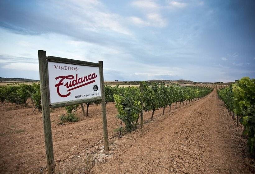 호텔 Spa Tudanca Aranda