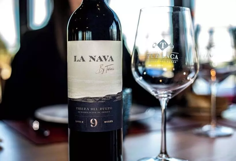 Hotel Spa Tudanca Aranda