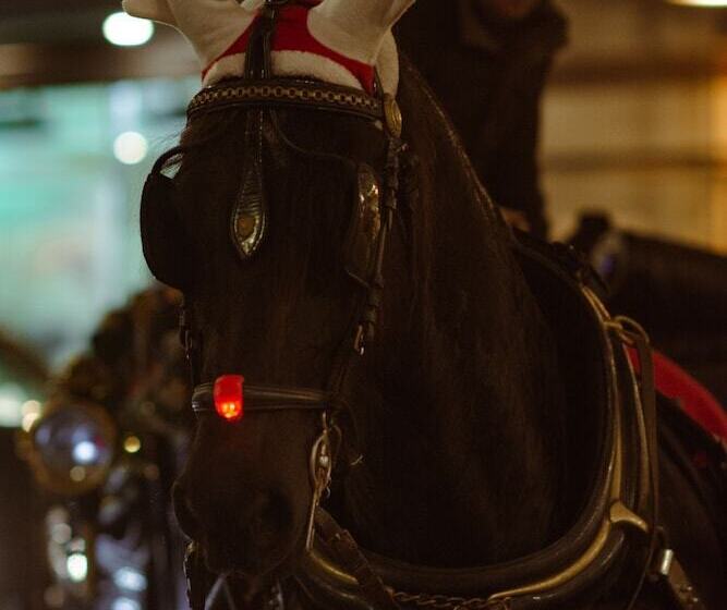 旅馆 Latroupe Jacobs Inn