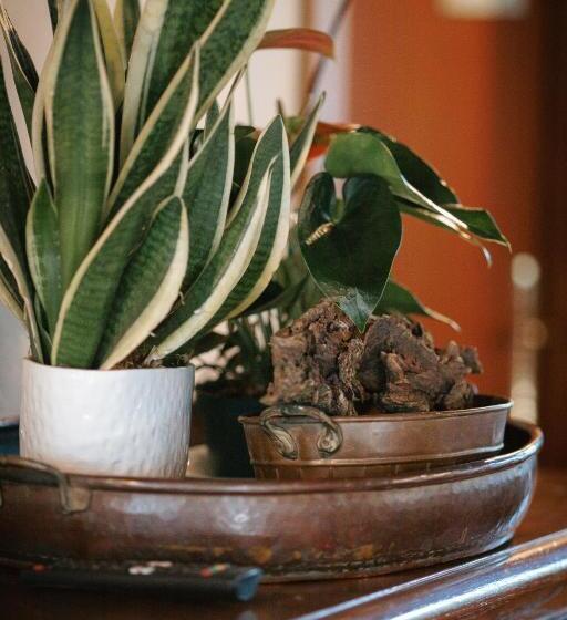 호텔 Borgo Il Poggio Agritourismo