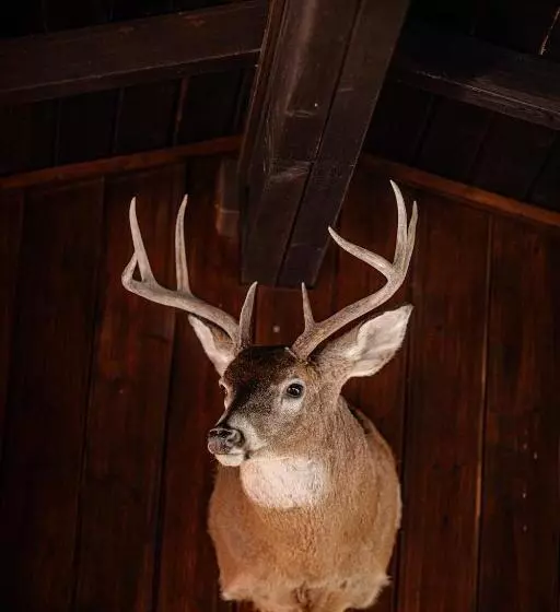 Hotelli Borgo Il Poggio Agritourismo