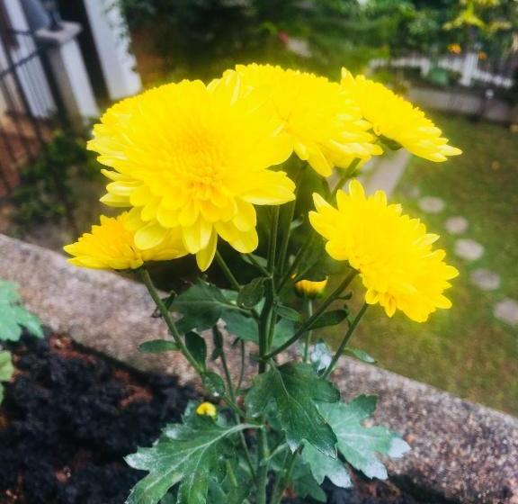 فندق Villa Familia