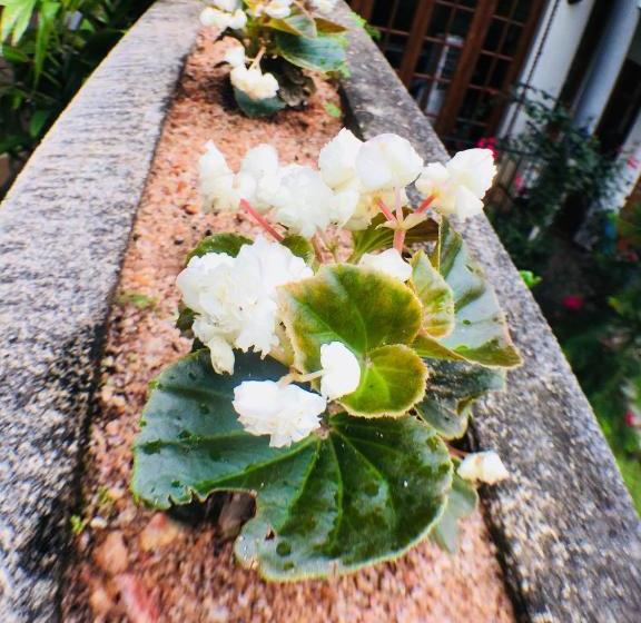 فندق Villa Familia