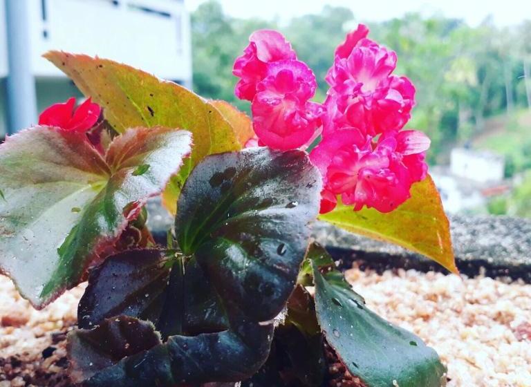 فندق Villa Familia