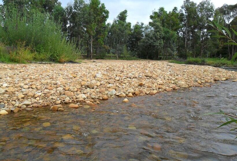 פנסיון Brookfield Guest House