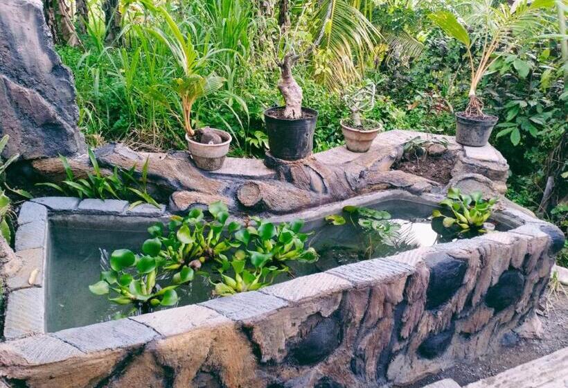 膳宿费 Khrisna Hs And Cottages