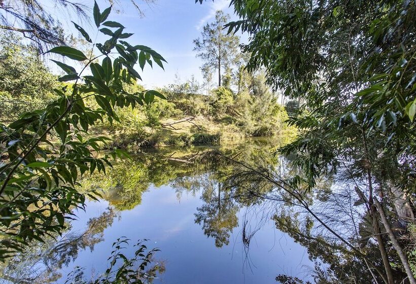 Valley Cabins By The Creek