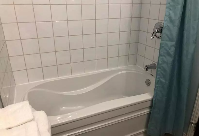 ホテル Petit Hôtel Amara