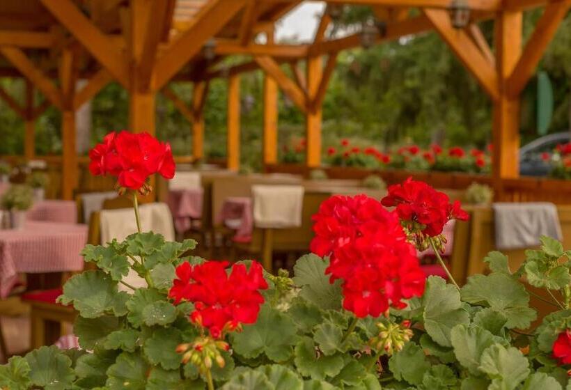 Lipicai Hotel és étterem