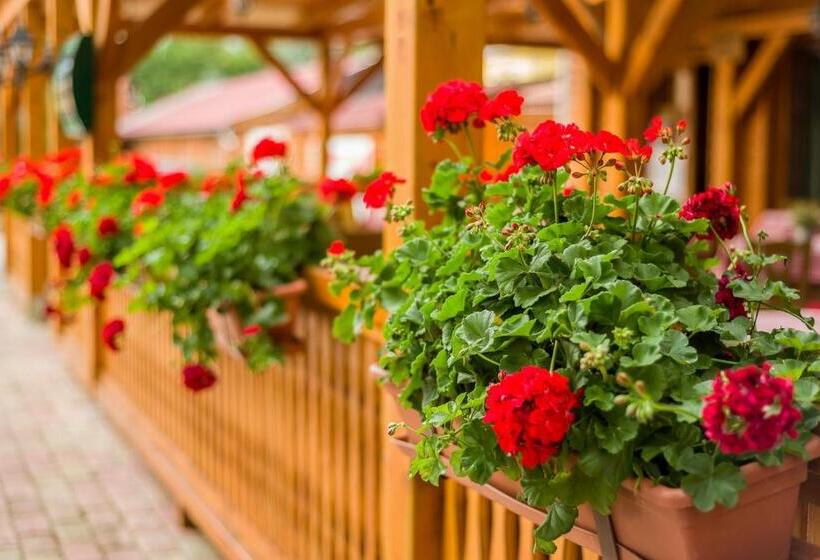 Lipicai Hotel és étterem