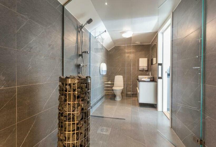 بنسيون L Drottninggatan 11