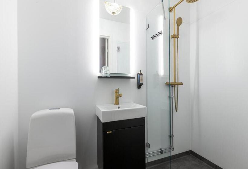 بنسيون L Drottninggatan 11