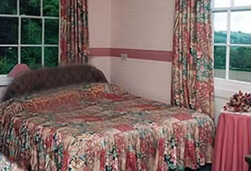 Aamiaismajoitus (B&B) Dolforwyn Hall Country House