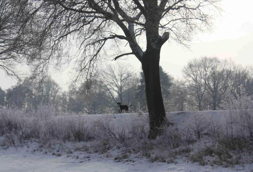 Пансион Gutshof Zum Adlernest