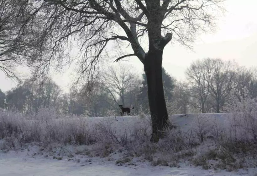 Majatalo Gutshof Zum Adlernest