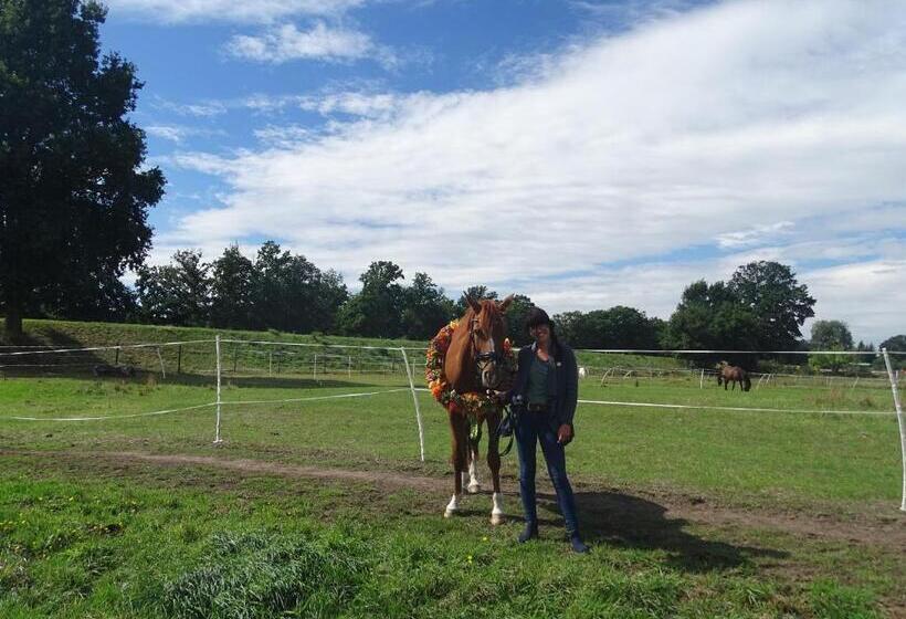 Пансион Gutshof Zum Adlernest