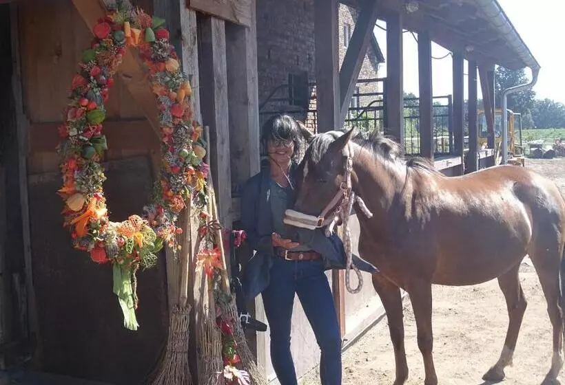 Majatalo Gutshof Zum Adlernest