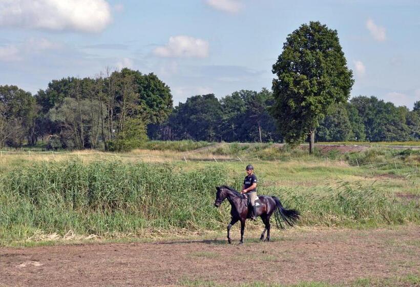 Пансион Gutshof Zum Adlernest