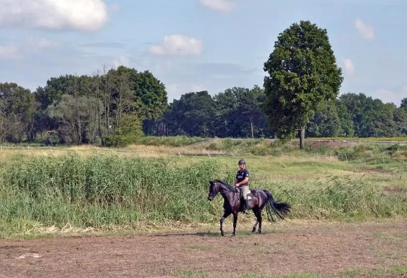 Majatalo Gutshof Zum Adlernest