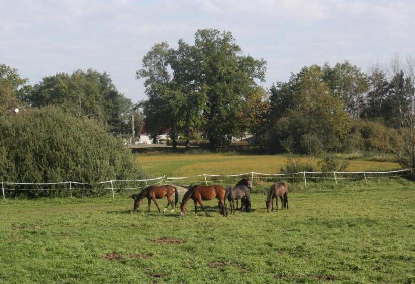 Пансион Gutshof Zum Adlernest