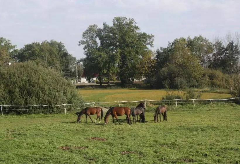 Majatalo Gutshof Zum Adlernest