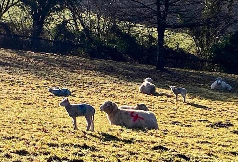 Valley View Farm, Bed And Breakfast